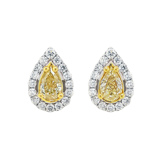Yellow Diamond Earrings in 18K Gold #310